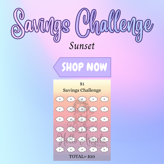 Budget Binder Saving Challenges